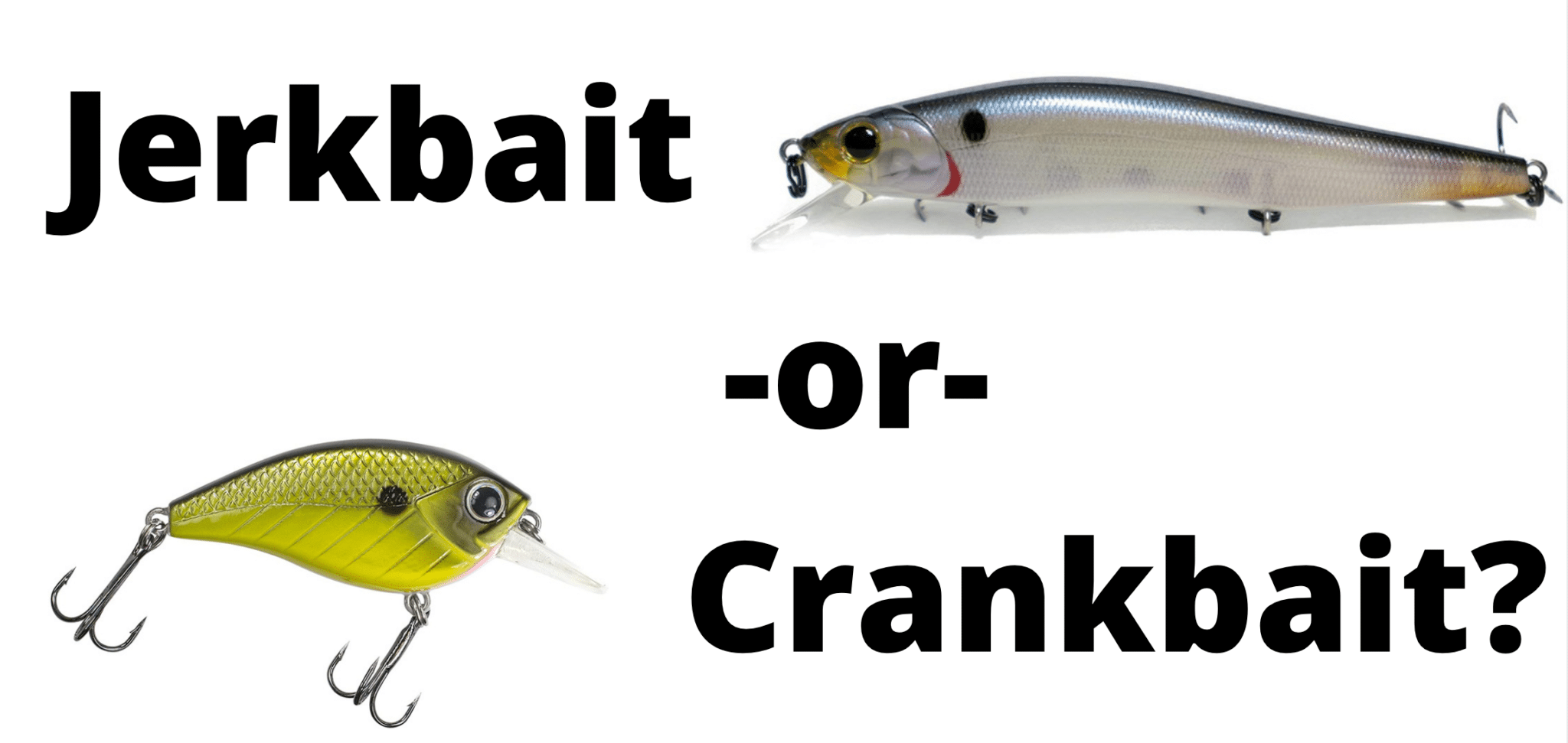 Jerkbait vs. Crankbait – What are the Differences? - GFL Outdoors