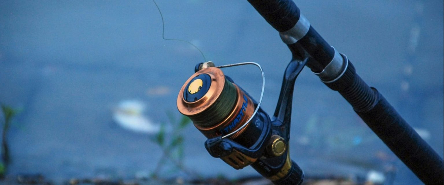 does-fishing-line-go-bad-gfl-outdoors