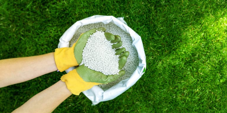 Which Fertilizers Are Best For Early Spring Lawn Care: Optimal Nutrient 