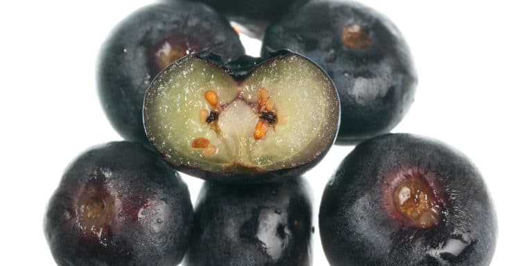 Do Blueberries Have Seeds? [Yes, You Can Do A Lot With Them]