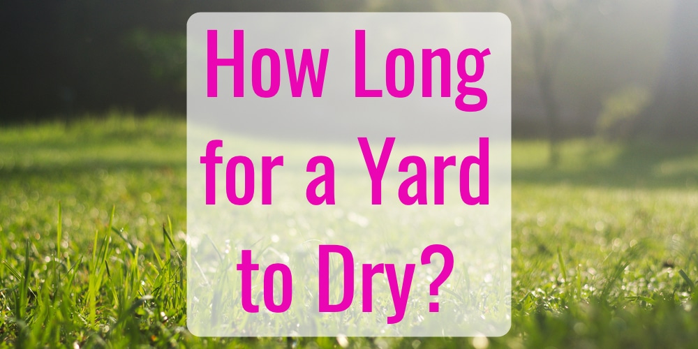 how-long-does-it-take-grass-to-dry-after-rain-gfl-outdoors