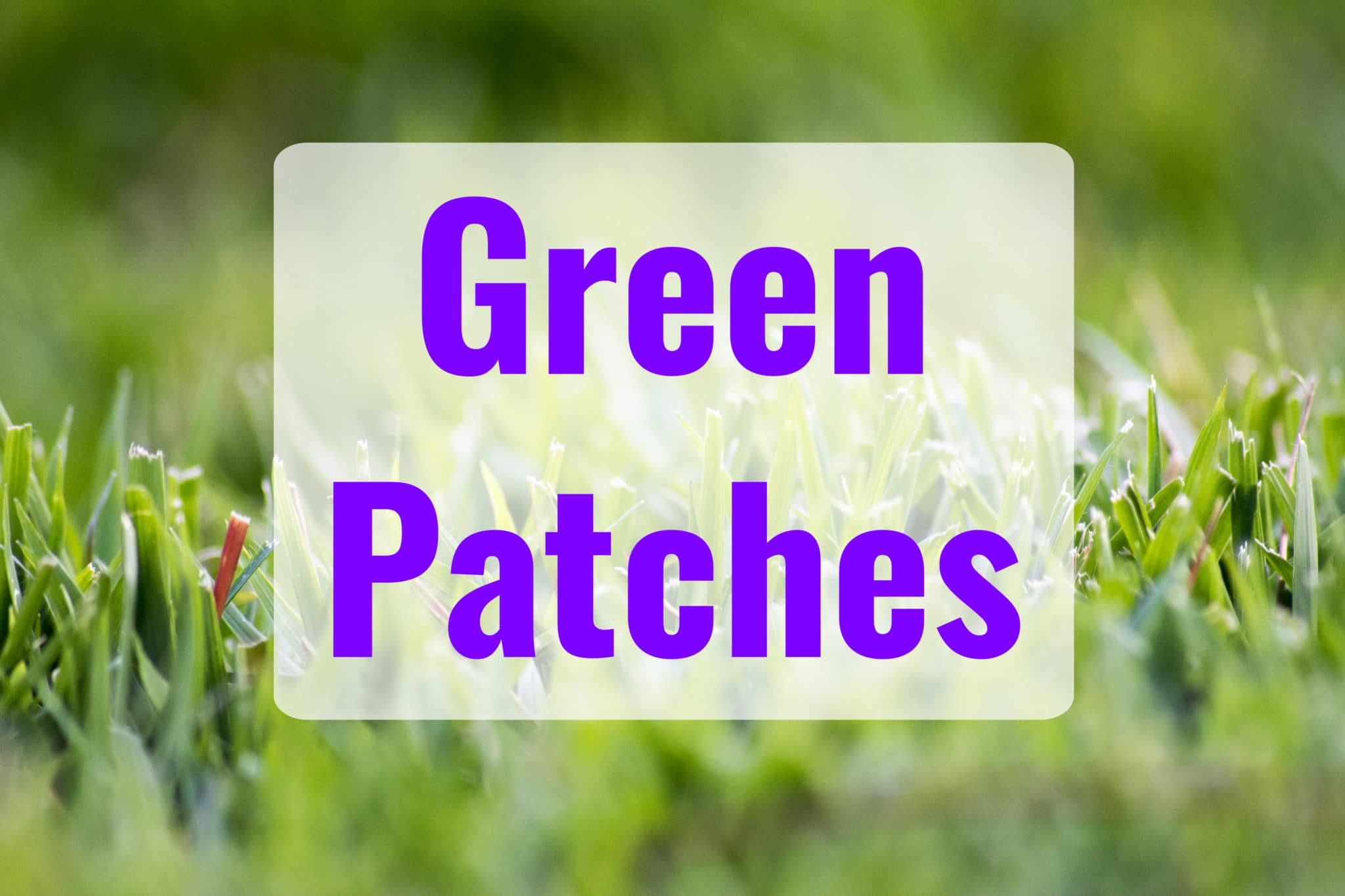 0 Result Images of Causes Of Green Patches On Skin - PNG Image Collection