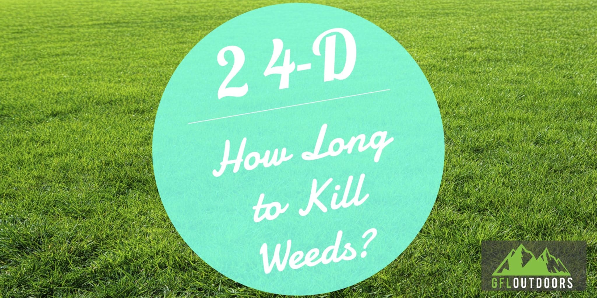 how-long-does-it-take-for-24d-to-kill-weeds-gfl-outdoors