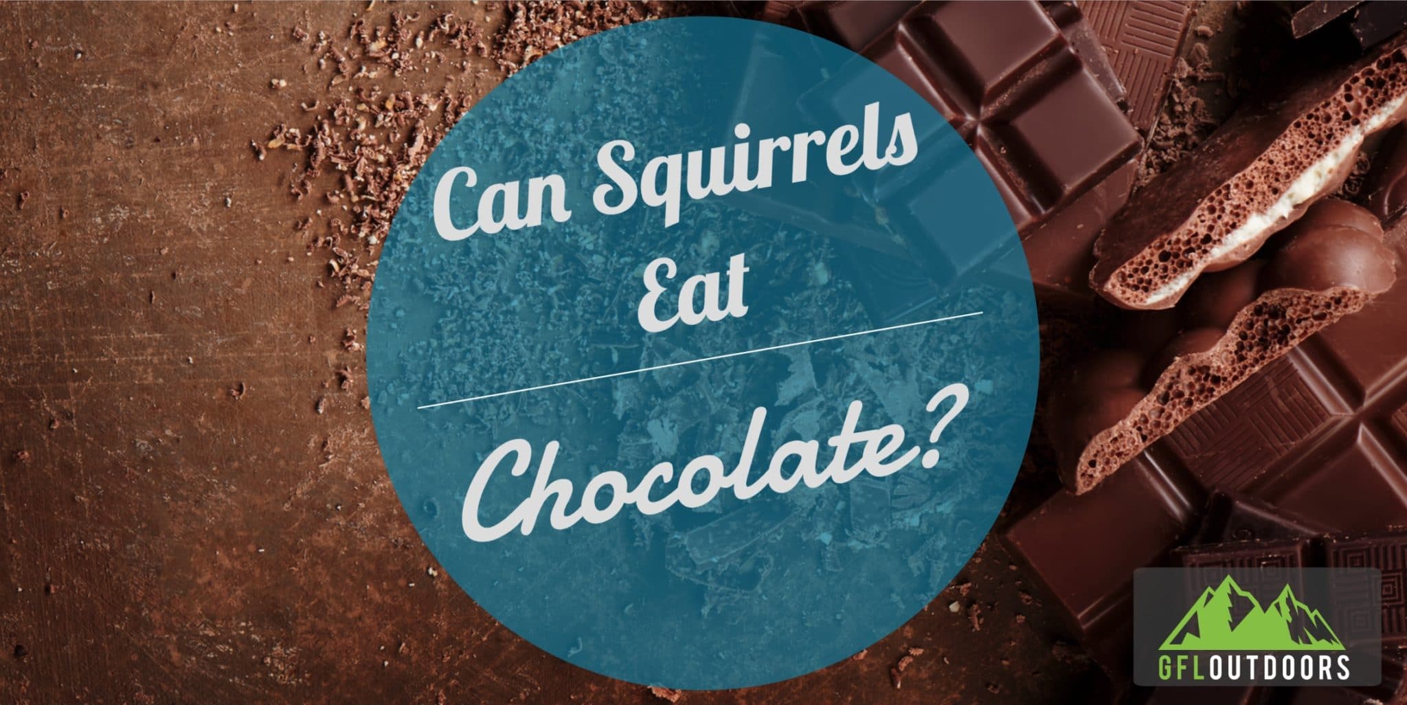 Do Squirrels Eat Chocolate - GFL Outdoors