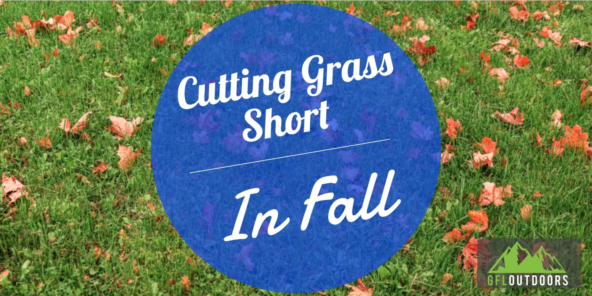 should-you-cut-grass-short-before-winter