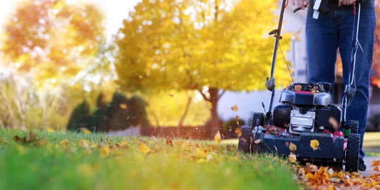 should-you-cut-grass-shorter-in-fall-gfl-outdoors