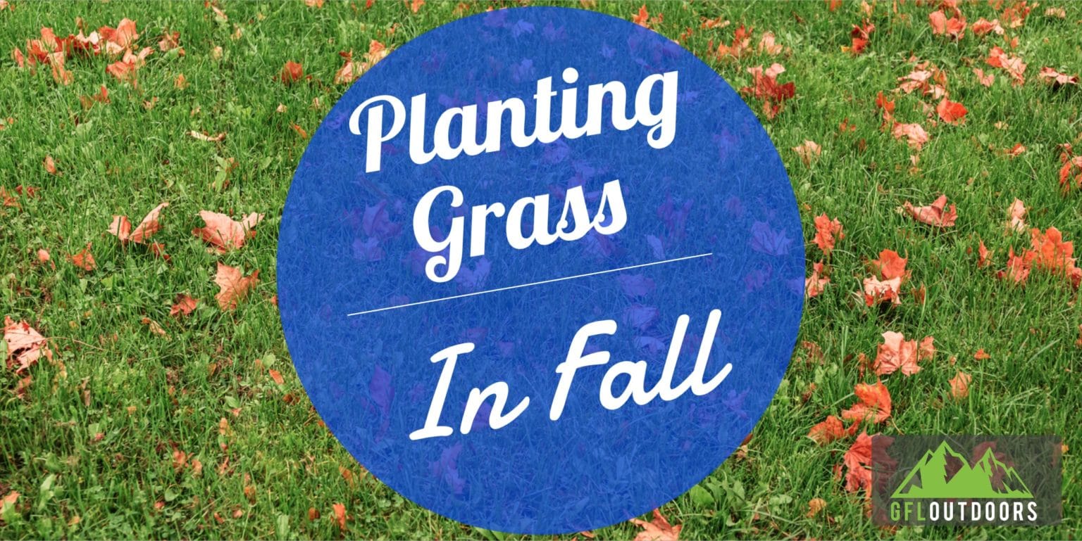 How Late in The Fall Can You Plant Grass Seed - GFL Outdoors