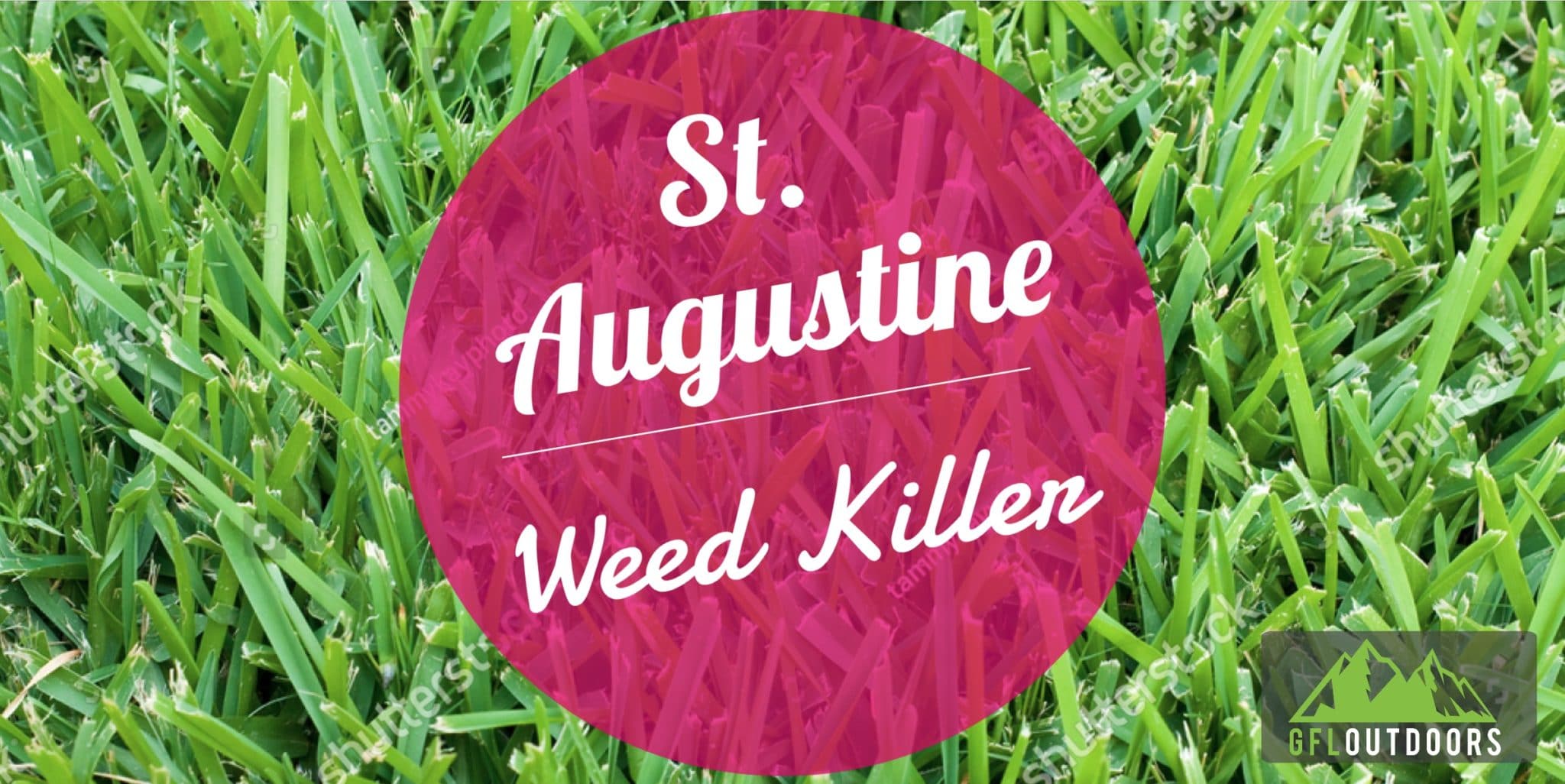 Weed Killer For St Augustine Grass - About You