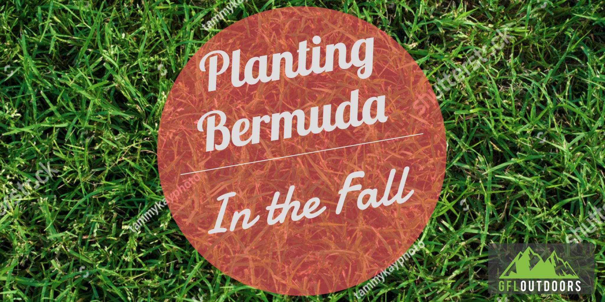 can-you-plant-bermuda-grass-in-the-fall-spring-is-better