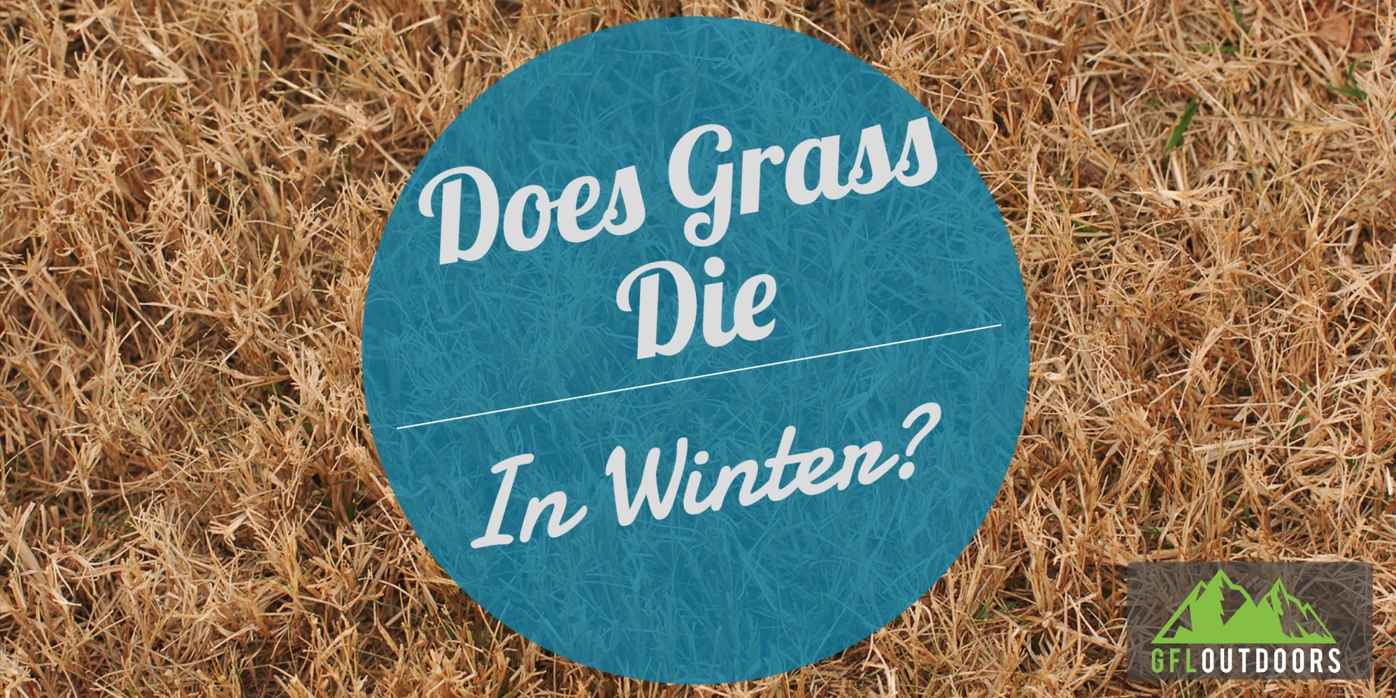 does-grass-die-in-winter-some-grasses-are-better-than-others