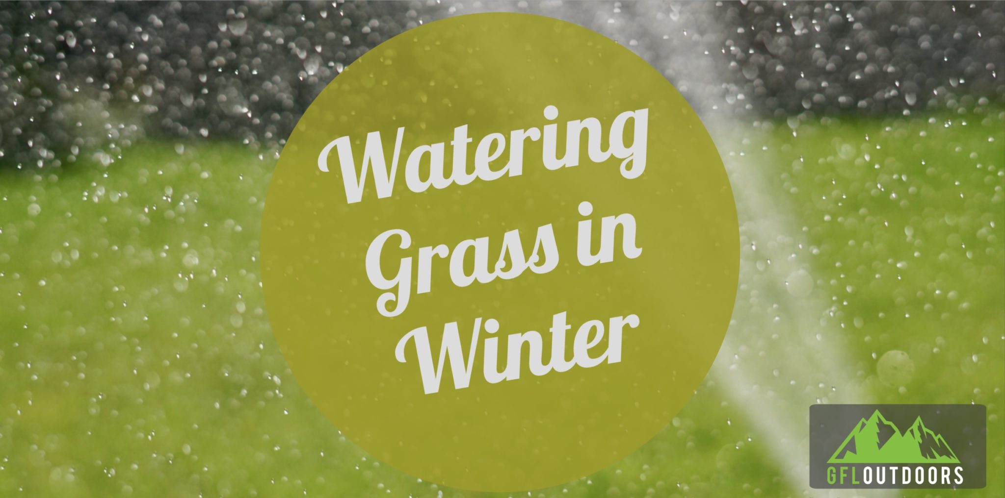 watering-grass-in-winter-guide-should-you-how-much