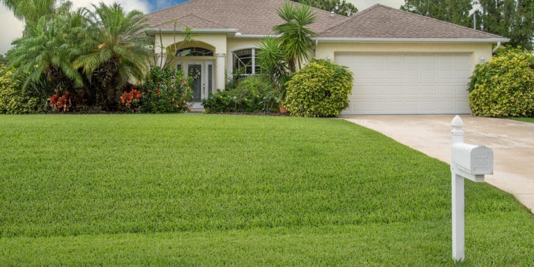 How To Revitalize Your Lawn With Top Dressing In Spring: Enhance Turf 