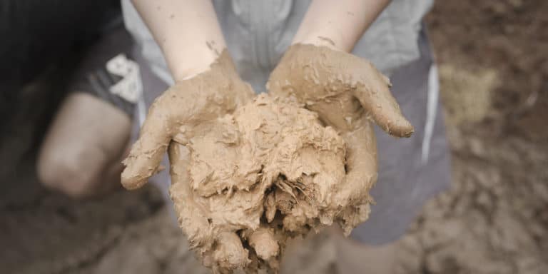 Clay Soil In Hand 768x384 