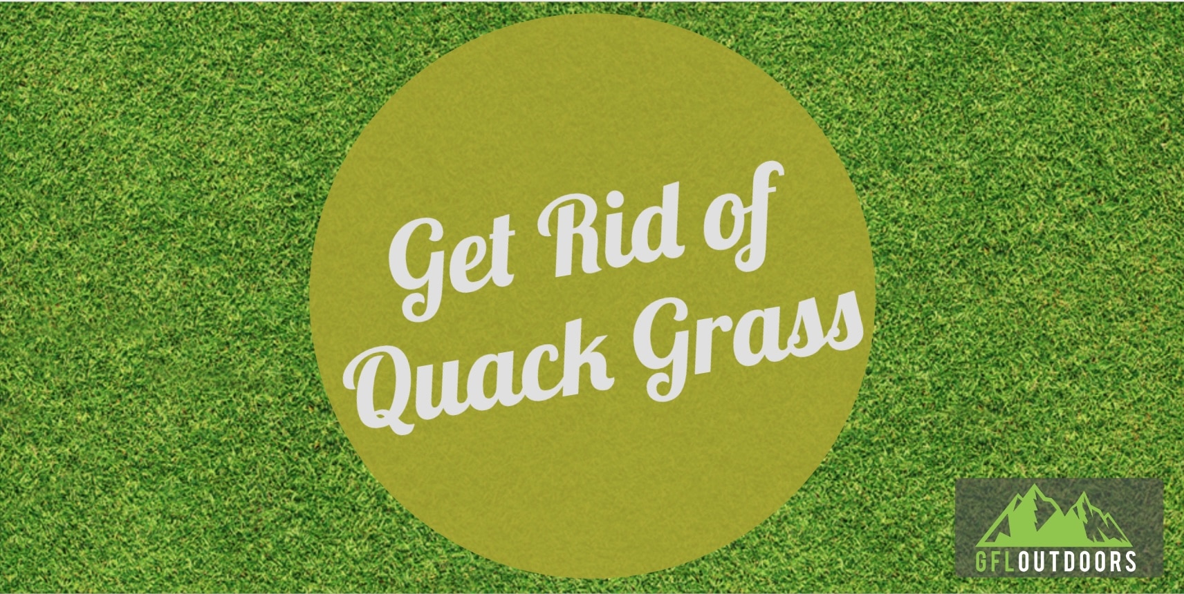 How To Get Rid Of Quack Grass Fast And Easy Gfl Outdoors