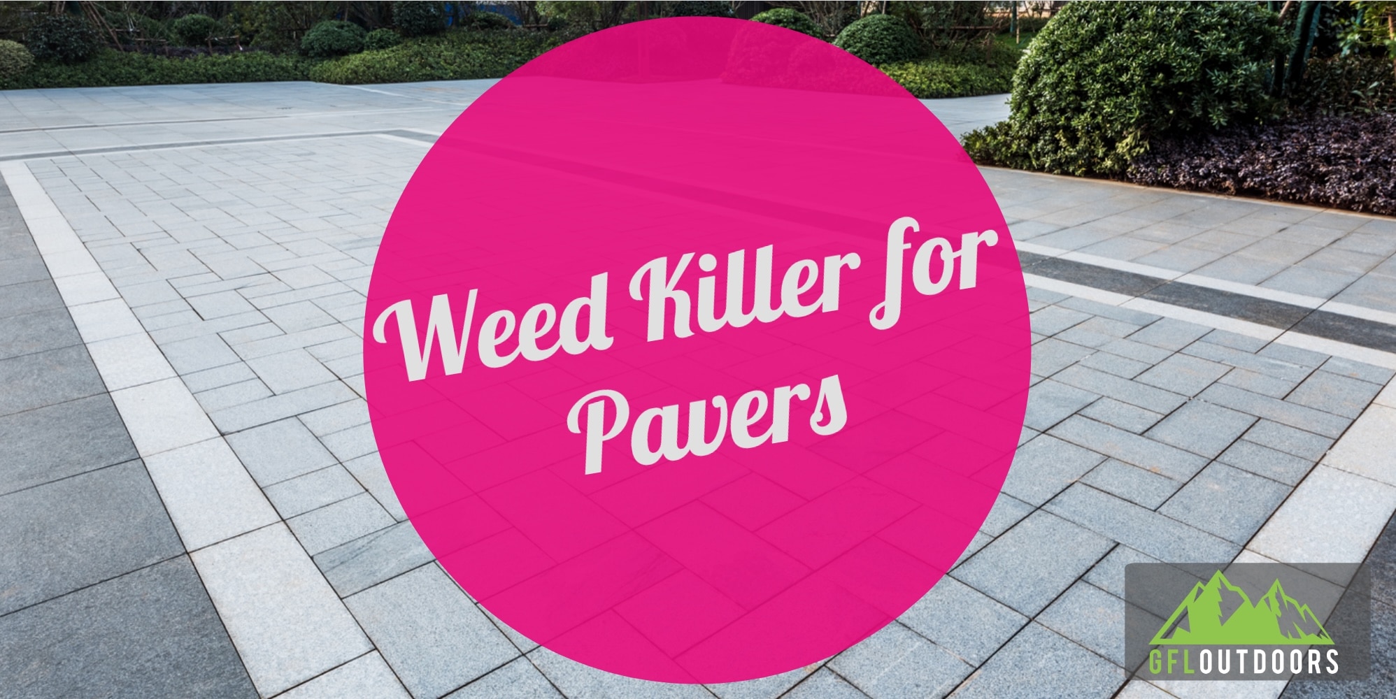 Best Weed Killer for Pavers How to Get Rid of Weeds GFL Outdoors