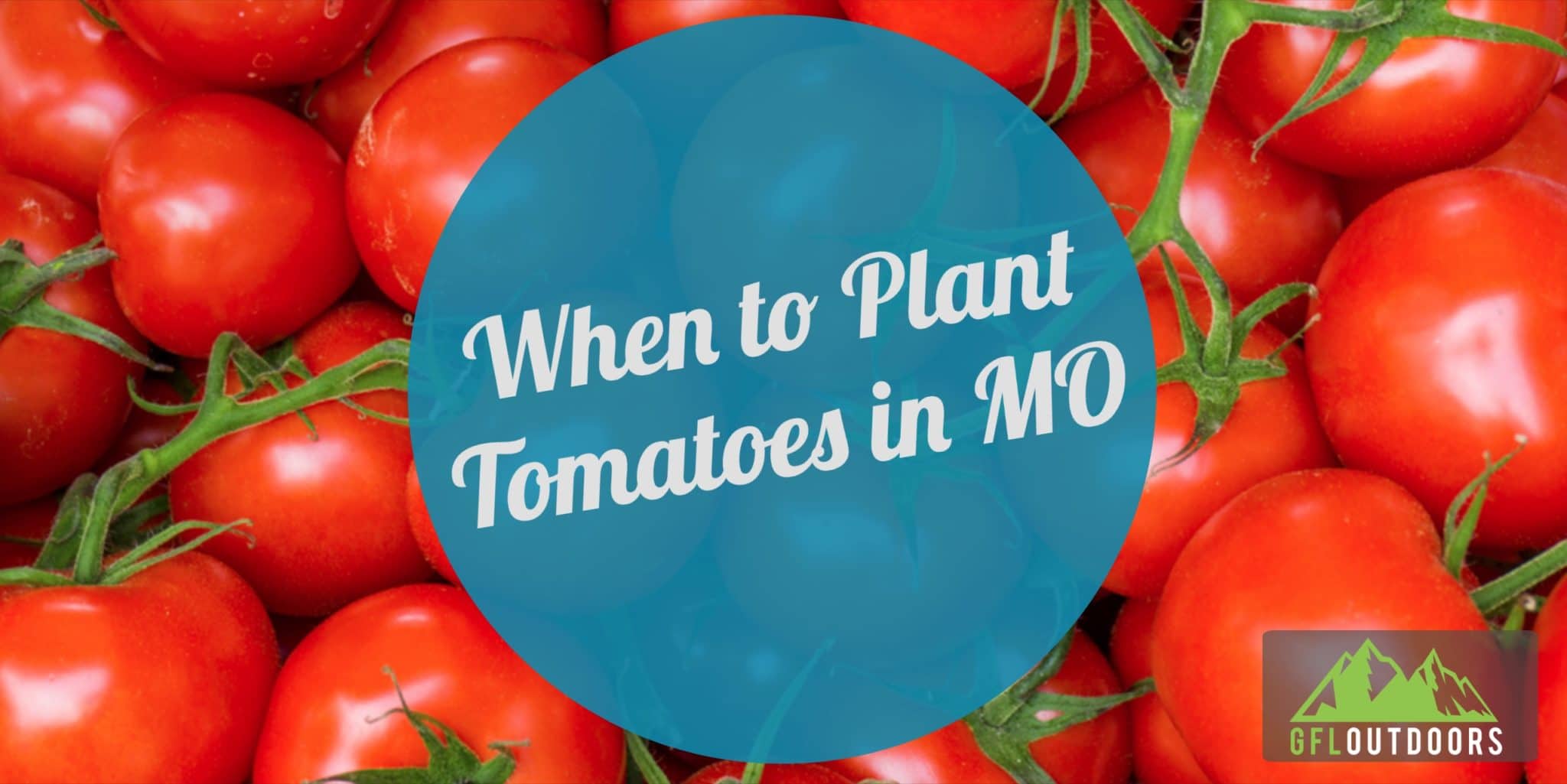 when-to-plant-tomatoes-in-missouri-find-out-now-gfl-outdoors