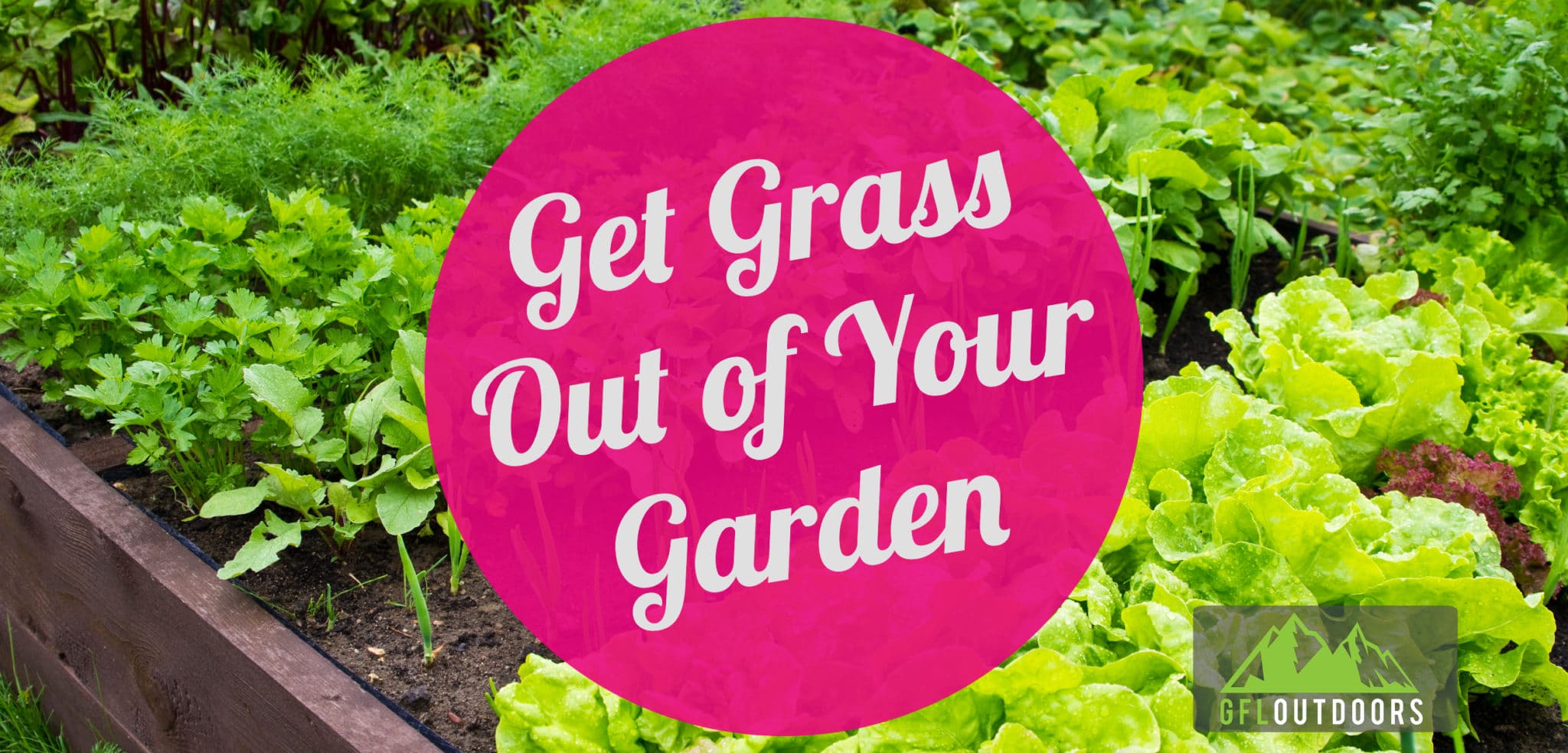 get-rid-of-grass-in-a-vegetable-garden-a-thorough-guide