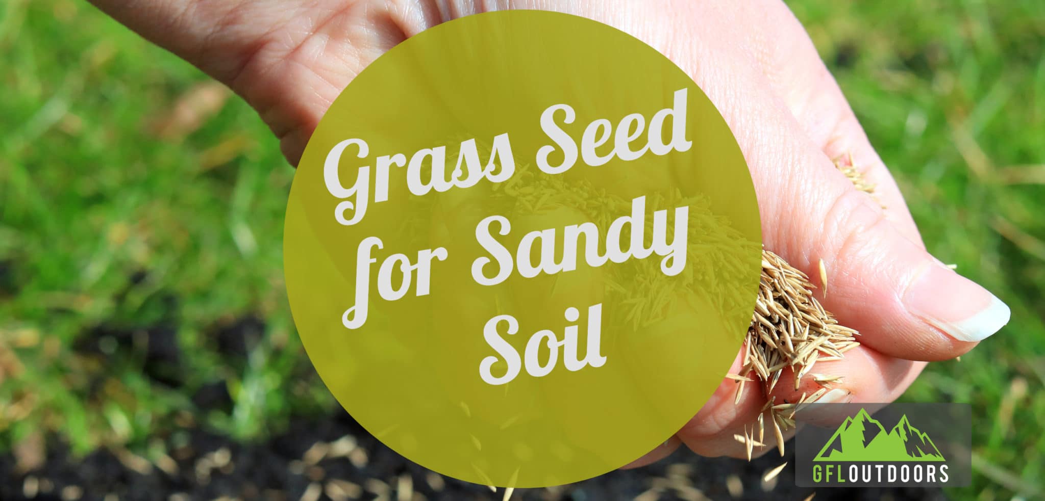 Picking The Top Grass Seed For Sandy Soil Coastal Grass Done Right