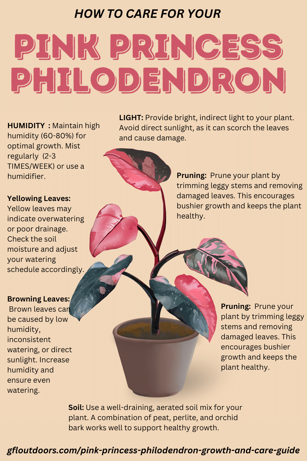 TEXT BASED INFOGRAPHIC: Pink Princess Philodendron HOW TO CARE FOR YOUR HUMIDITY : Maintain high humidity (60-80%) for optimal growth. Mist regularly (2-3 TIMES/WEEK) or use a humidifier. LIGHT: Provide bright, indirect light to your plant. Avoid direct sunlight, as it can scorch the leaves and cause damage. Pruning: Prune your plant by trimming leggy stems and removing damaged leaves. This encourages bushier growth and keeps the plant healthy. Yellowing Leaves: Yellow leaves may indicate overwatering or poor drainage. Check the soil moisture and adjust your watering schedule accordingly. Browning Leaves: Brown leaves can be caused by low humidity, inconsistent watering, or direct sunlight. Increase humidity and ensure even watering. Pruning: Prune your plant by trimming leggy stems and removing damaged leaves. This encourages bushier growth and keeps the plant healthy. Soil: Use a well-draining, aerated soil mix for your plant. A combination of peat, perlite, and orchid bark works well to support healthy growth. gfloutdoors.com/pink-princess-philodendron-growth-and-care-guide