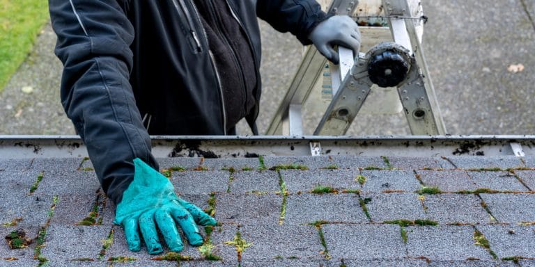 Best Time Of Year To Remove Moss From Roof GFL Outdoors   Moss On Roof 2 768x384 