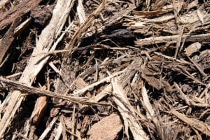 Hemlock Mulch