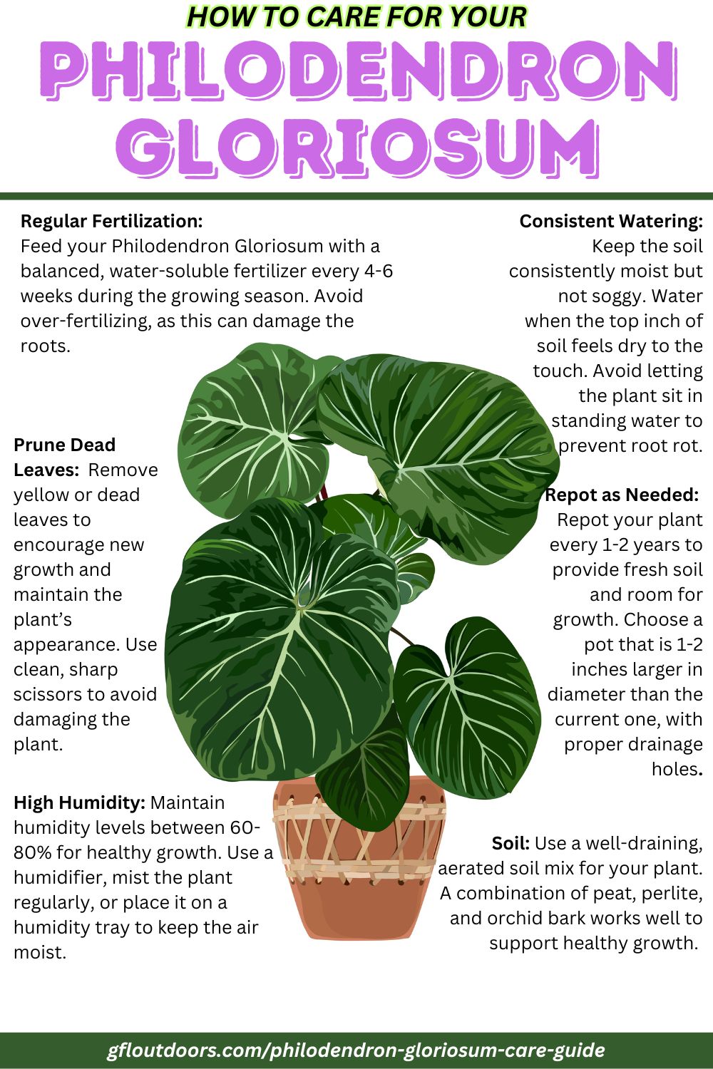 Text: Bright, Indirect Light Philodendron Gloriosum thrives in bright, indirect light. Avoid direct sunlight, as it can scorch the leaves. Place it near a north or east-facing window for optimal growth. Consistent Watering Keep the soil consistently moist but not soggy. Water when the top inch of soil feels dry to the touch. Avoid letting the plant sit in standing water to prevent root rot. High Humidity Maintain humidity levels between 60-80% for healthy growth. Use a humidifier, mist the plant regularly, or place it on a humidity tray to keep the air moist. Well-Draining Soil Use a well-draining soil mix rich in organic matter. A mix of peat, perlite, and orchid bark provides the right balance of aeration and moisture retention. Regular Fertilization Feed your Philodendron Gloriosum with a balanced, water-soluble fertilizer every 4-6 weeks during the growing season. Avoid over-fertilizing, as this can damage the roots. Prune Dead Leaves Remove yellow or dead leaves to encourage new growth and maintain the plant’s appearance. Use clean, sharp scissors to avoid damaging the plant. Repot as Needed Repot your plant every 1-2 years to provide fresh soil and room for growth. Choose a pot that is 1-2 inches larger in diameter than the current one, with proper drainage holes.