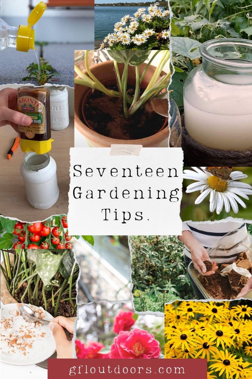 Gardening Tips